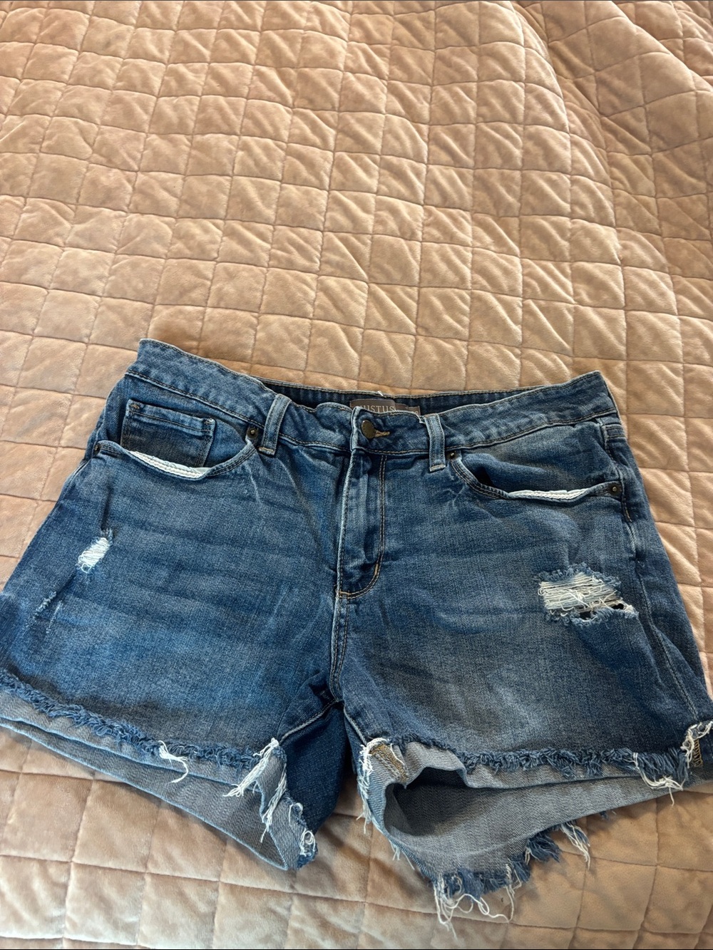 Denim Distressed Women's Shorts - Blue